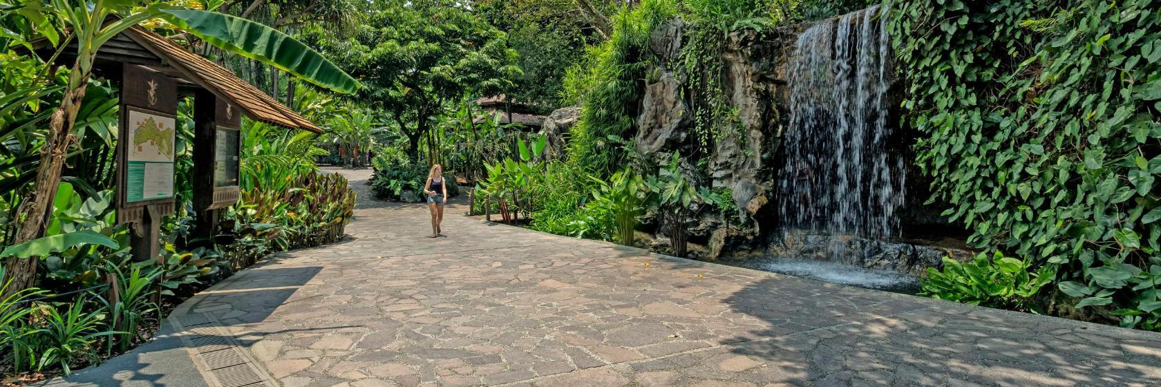 Jardim Botânico de Singapura